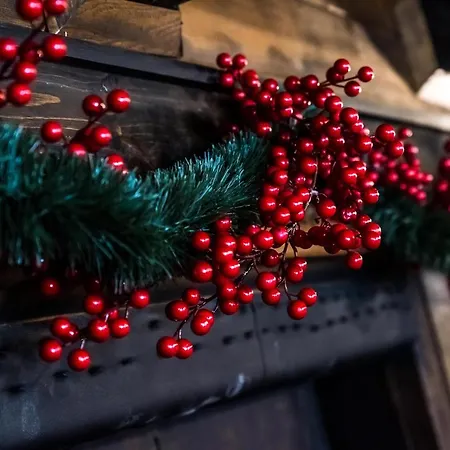 Banskovilla Zlateva House 3* בנסקו