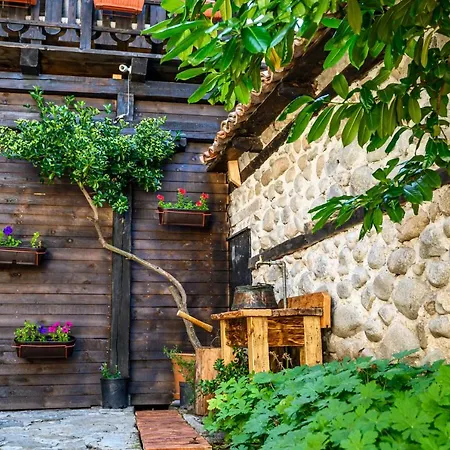 ゲストハウス Banskovilla Zlateva House